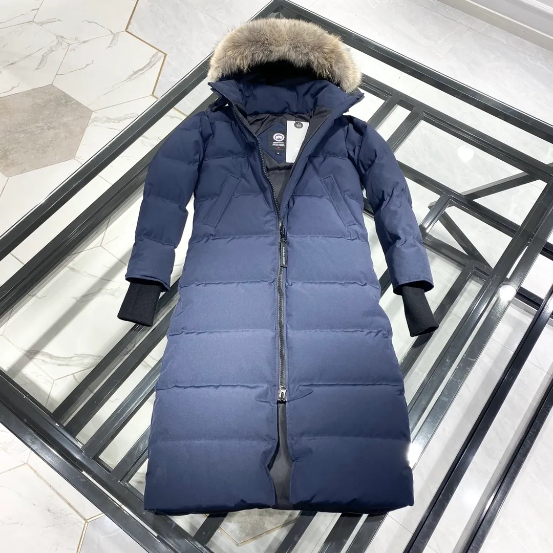 P860 🇨🇦Top original Big Goose 22 parka coats navy blue hanging photo flat display picture book🇨🇦